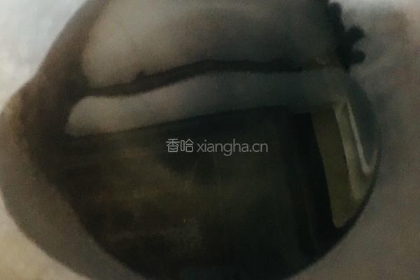 双椒炒猪蹄的做法图解26