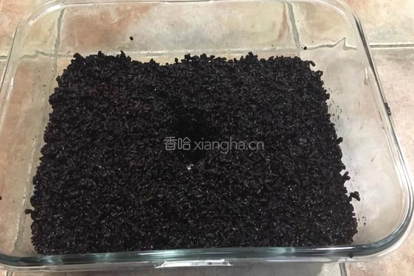 血糯米酒酿的做法图解5