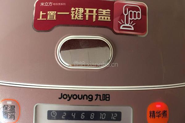 糍糕的做法图解2
