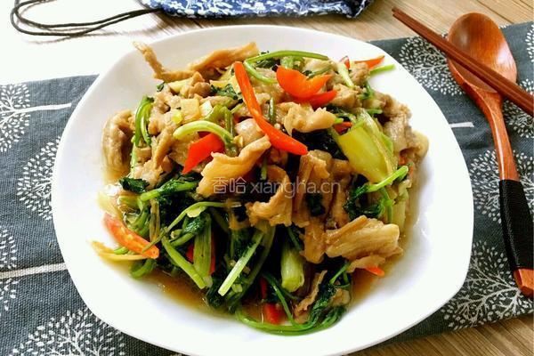 羊肉片炒香菜的做法图解12