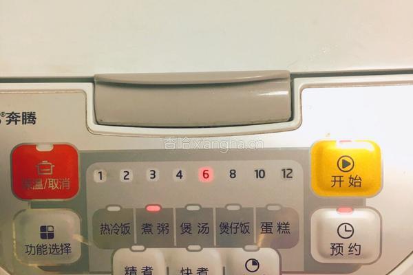 小米南瓜粥的做法图解4