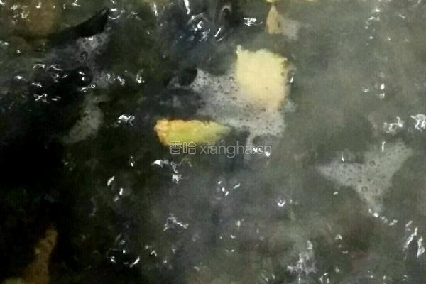 盐水菱角的做法图解3