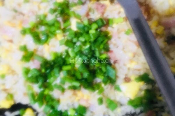 培根鸡蛋炒饭的做法图解19