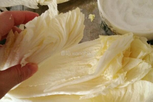 朝鲜辣白菜的做法图解2