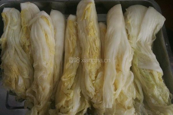 朝鲜辣白菜的做法图解10