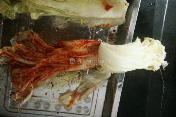 朝鲜辣白菜的做法图解11