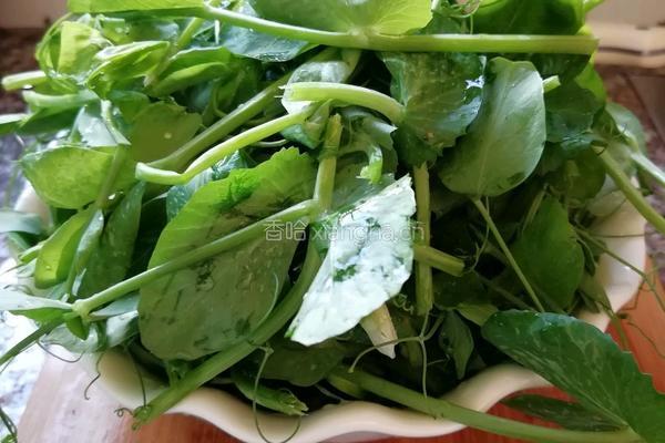 牛肉荷兰豆苗汤的做法图解1