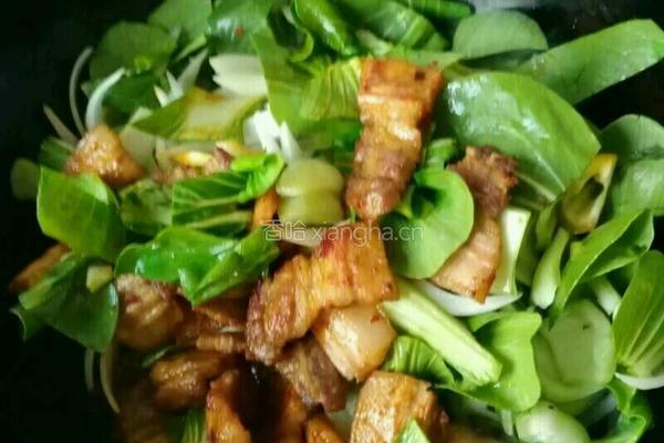 豆泡油菜的做法图解4