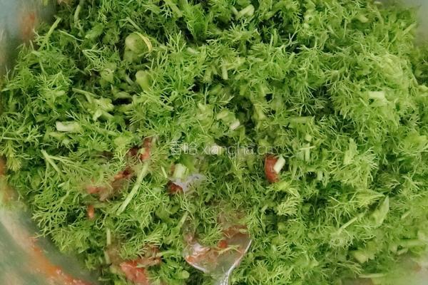 猪肉茴香水饺的做法图解10