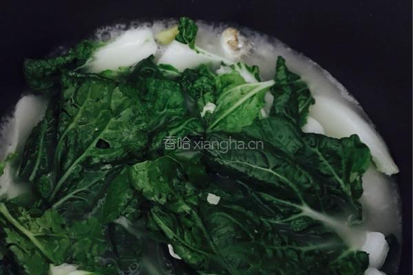 鲫鱼奶白菜汤的做法图解5