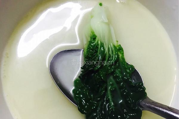 鲫鱼奶白菜汤的做法图解7