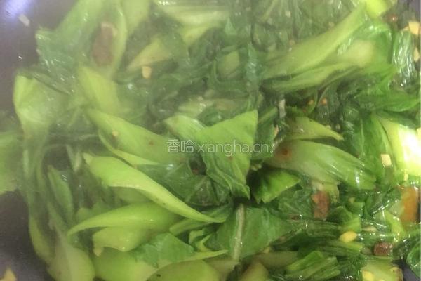 老干妈炒芥菜的做法图解6