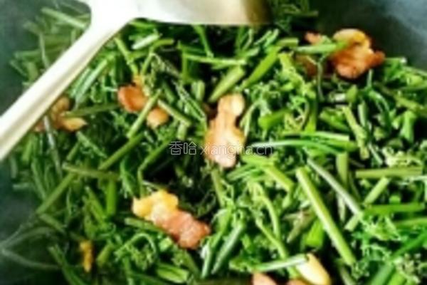 厥菜炒肉的做法图解4