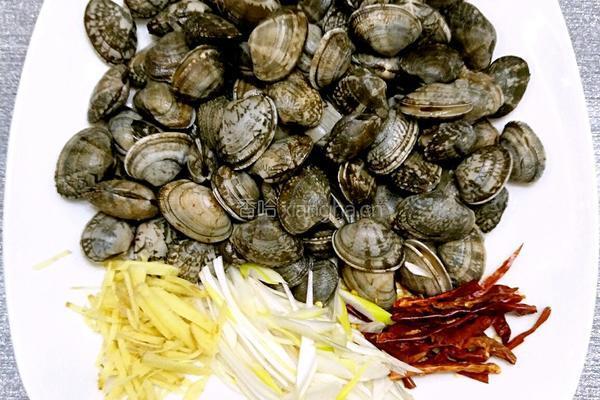 鲁菜大师蒋家常菜爆炒香辣花蛤的做法图解1