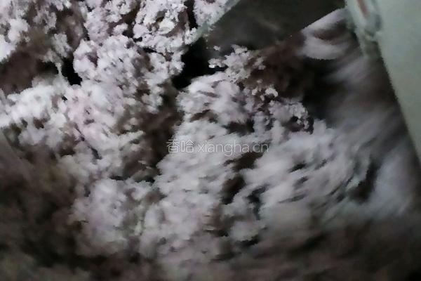 紫薯花卷的做法图解2