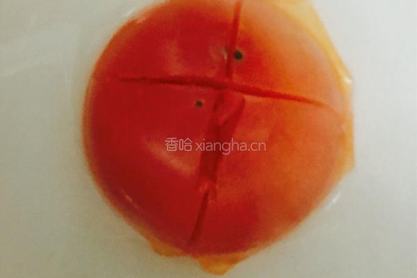 西红柿土豆牛肉汤的做法图解3