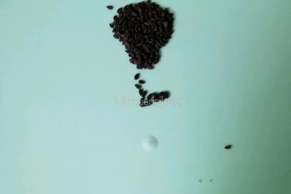芝麻拼盘之（舞姿妙漫）的做法图解2