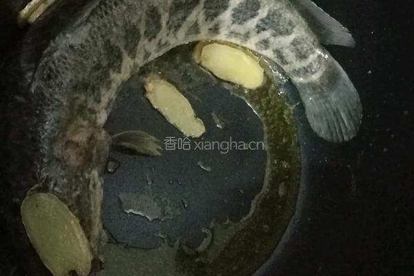 塘葛菜煲生鱼的做法图解3