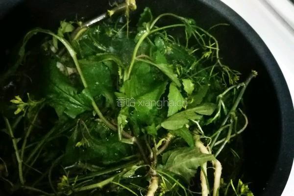 塘葛菜煲生鱼的做法图解6