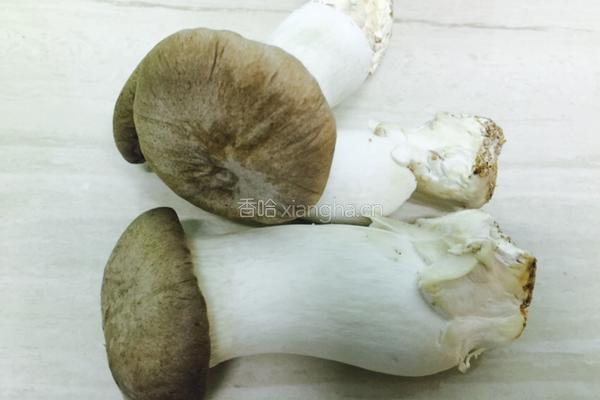 盐烧松茸菌菇的做法图解2