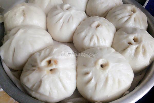 白萝卜猪肉包的做法图解34
