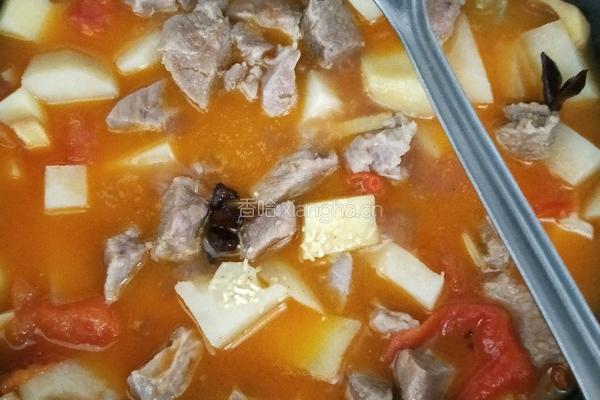 西红柿土豆炖牛肉的做法图解13