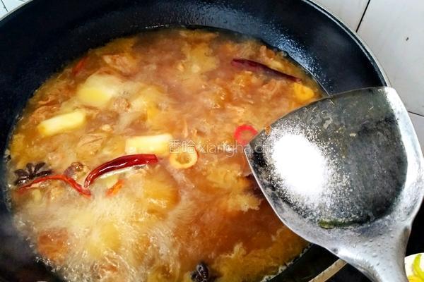 红烧牛肉的做法图解8