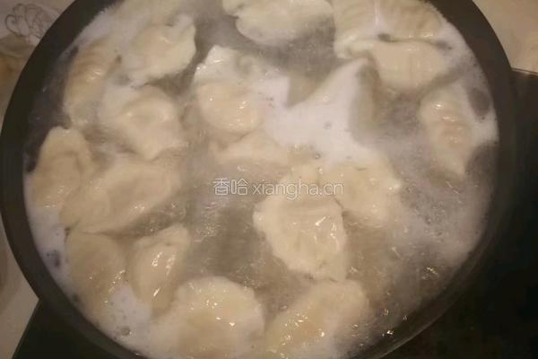 鲅鱼水饺的做法图解8