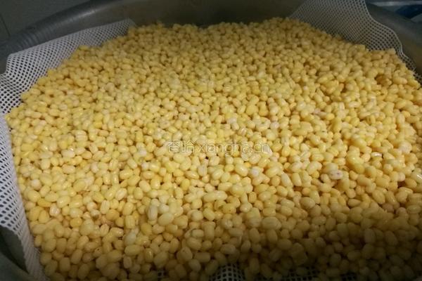 绿豆糕的做法图解4
