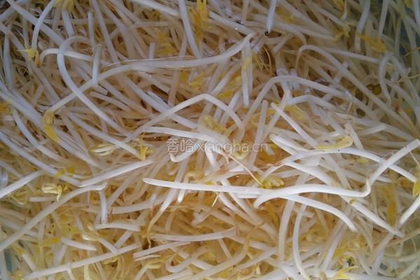 豆芽圆子汤的做法图解3