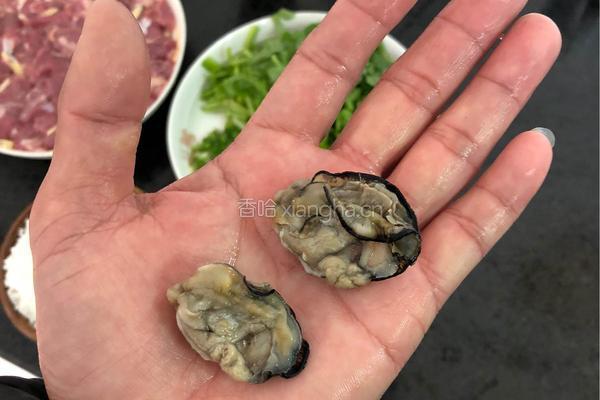 金蚝瑶柱瘦肉粥的做法图解4