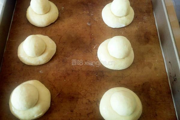 全麦布里欧修的做法图解10