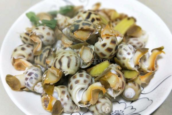 白灼花螺 的做法图解5