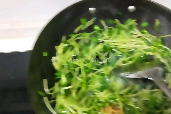 炒豌豆苗的做法图解5