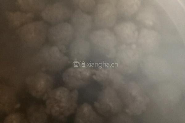 水烫丸子的做法图解6