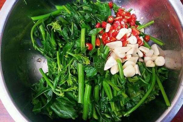 冲菜（芥末味菜心）的做法图解6