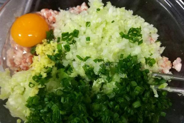 白菜猪肉水饺的做法图解4