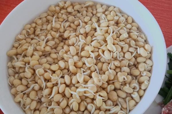 黄豆芽炒韭菜的做法图解1