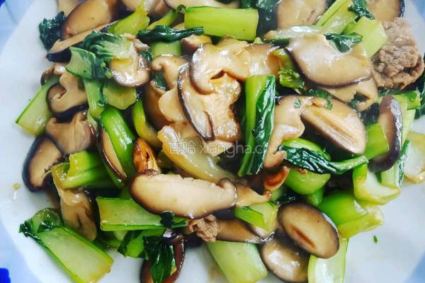 香茹油菜的做法图解6