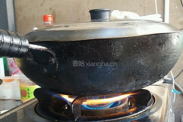 胡萝卜土豆闷肉的做法图解8