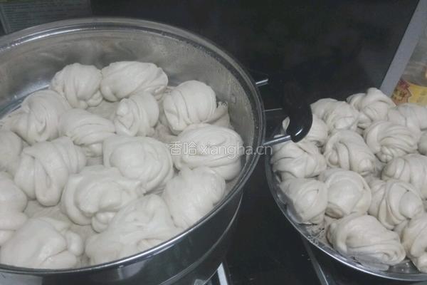 花卷山东馒头的做法图解6