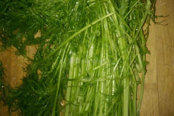 家常茴香大包的做法图解1