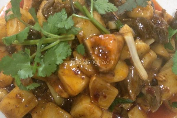 红烧牛肉的做法图解4