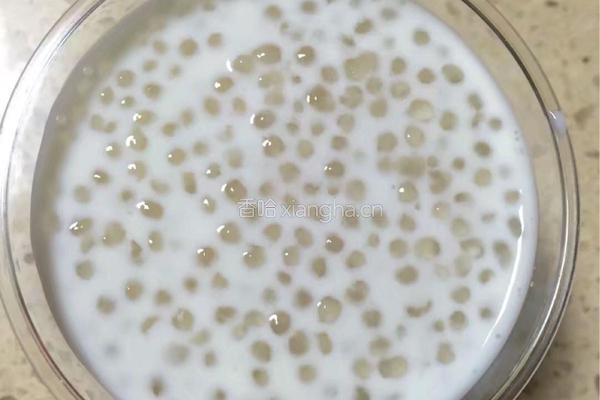 芒果牛奶西米露的做法图解10