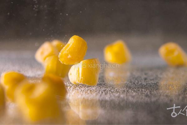 白玉干贝丨若以黄蕊点凝脂，金玉相随鲜中欢的做法图解1