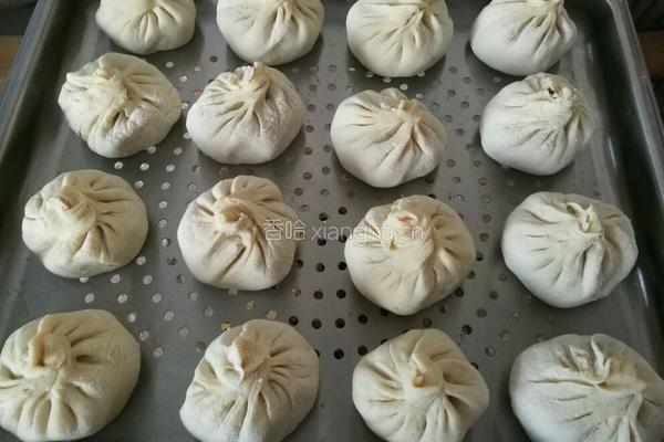 西葫芦鸡蛋包子的做法图解10