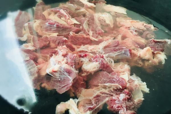 清汤萝卜牛腩的做法图解3