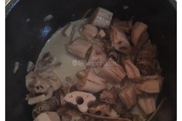 腊鸭焖藕的做法图解7
