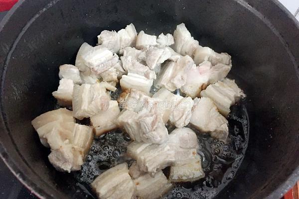 红烧肉的做法图解10