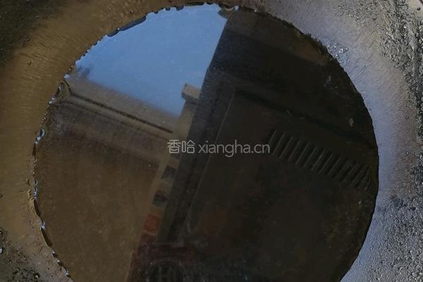 冬日热汤味增汤的做法图解1